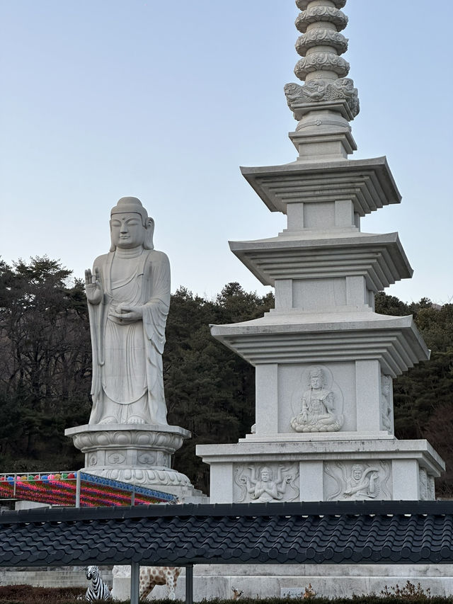 Here’s your cheat sheet for 3 epic days in Daegu Korea