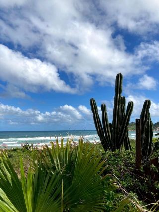 如何充分享受佛羅里諾波利斯的海灘日