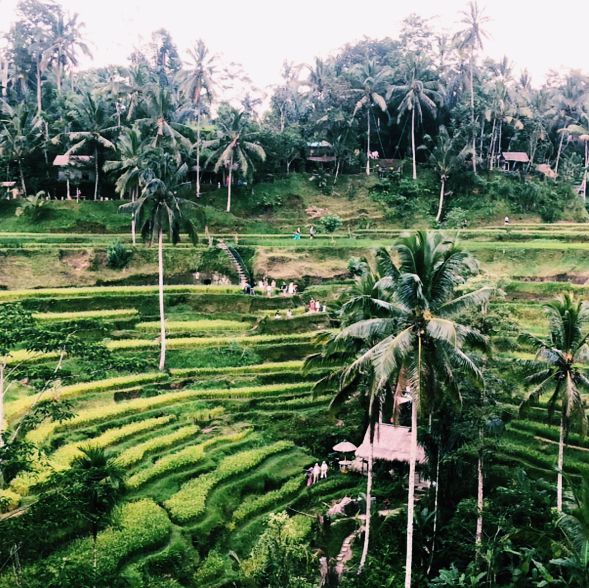 Bali on a Budget: Nature’s Hidden Paradise