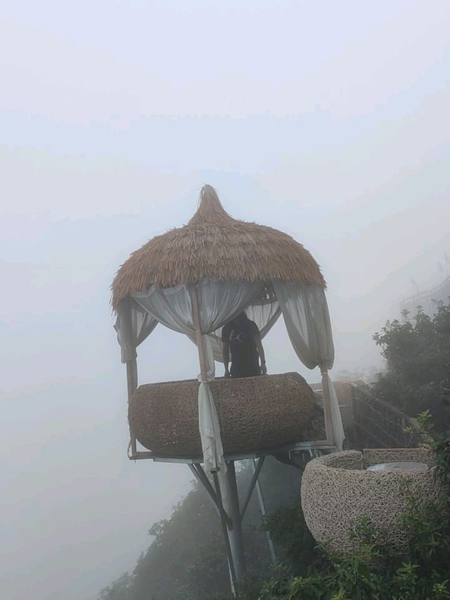 Into the Clouds🌫️