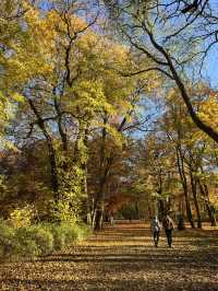 Beautiful Park & Local Food in Berlin🧡🇩🇪