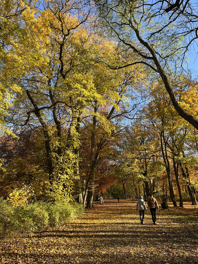 Beautiful Park & Local Food in Berlin🧡🇩🇪