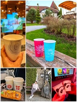 🥤 A regular plastic cup – my invisible travel buddy