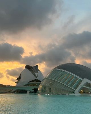 The Sun-Drenched Mosaic of Orchard and Sea: Valencia, Spain 🇪🇸🍊