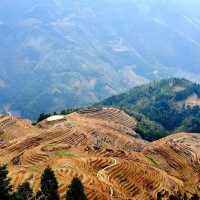 Longji Dragon’s Rice Terraces 🐉 