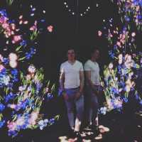 Teamlab - Tokyo