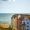 nysara_5465