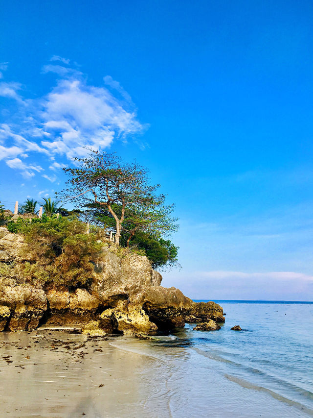 Fun and inexpensive Bohol Island in the Philippines