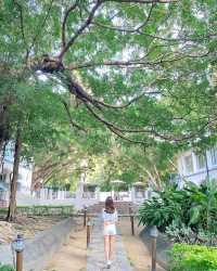 Tsim Sha Tsui's Best Spots | 6 Recommended British Retro Style Check-ins in Hong Kong