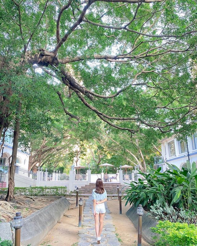 Tsim Sha Tsui's Best Spots | 6 Recommended British Retro Style Check-ins in Hong Kong