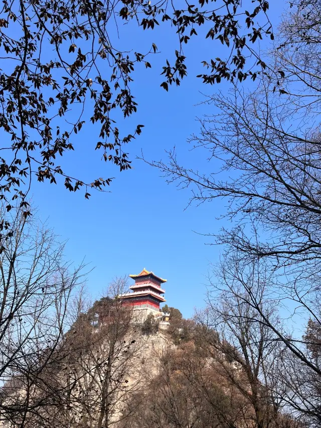 자연산 산소를 느껴보세요