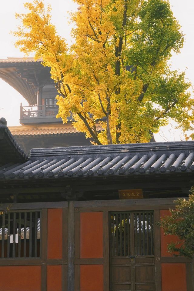 不是日本,真的真的是上海!! 不是日本,真的真的是上海!!