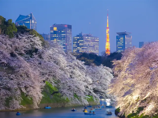 📍 極秘情報！ 東京の必見スポット🗼