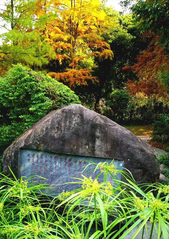 溫泉公園，市中心溫泉源脈