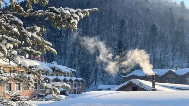 當熊出沒裡的狗熊嶺照進現實，你最想帶誰去