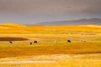 新疆之美｜擁有九個太陽的草原巴音布魯克