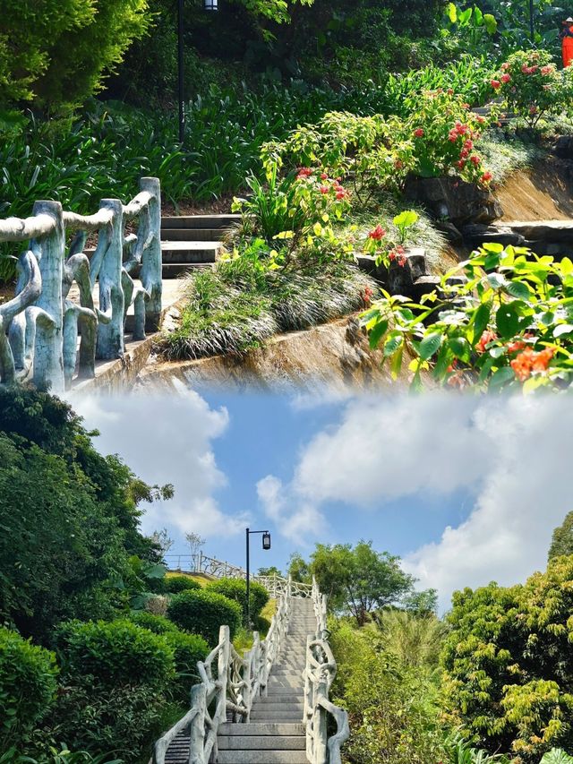 "深圳企龍山足球公園：仙境般的登山探索之旅"