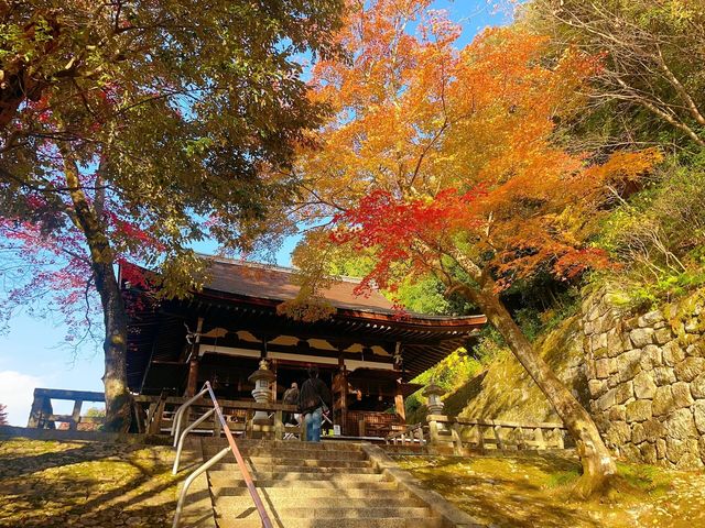 京都圓山公園 日式風格園林