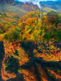 光霧山紅葉之旅：感受秋天的視覺盛宴