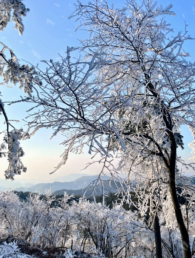 四明山下雪啦這條賞雪自駕路線快碼住