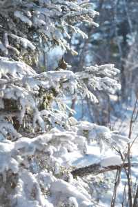 滑雪新手小白保姆級北大湖滑雪場我來啦