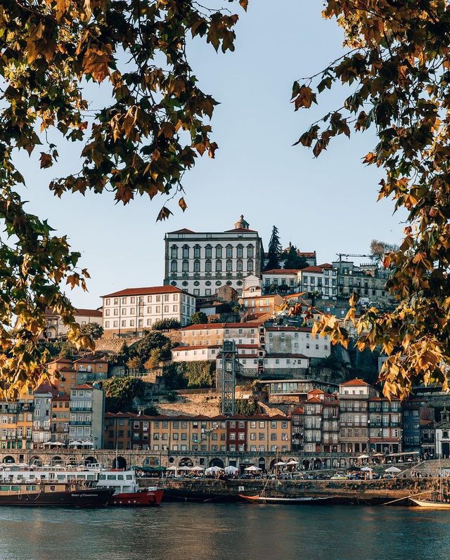 📸✨ Insta-Worthy Porto: Capturing the Charm of Portugal's Picturesque City! 🇵🇹🌆