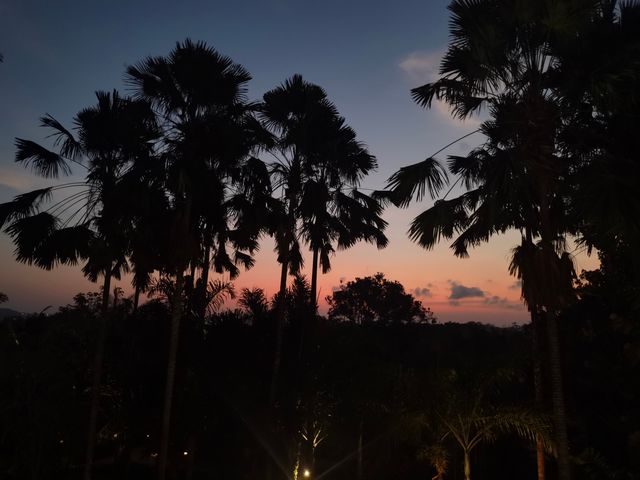 鍾情巴厘島 | 邂逅美景的慢時光
