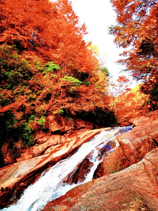 Guangwushan: Encounter a fairy tale of autumn in 3 days