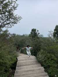 雲蒙山皇家森林公園徒步