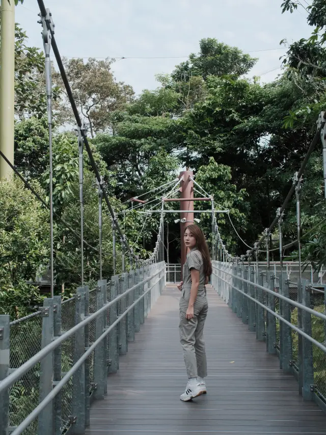 新加坡旅行值得花一天超出片的動物園