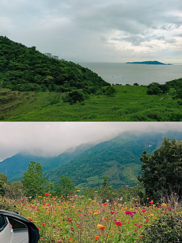 蒼南｜一路向南，一直開到海水變藍