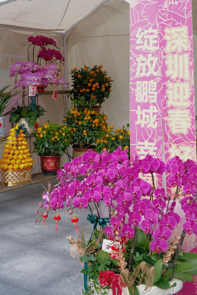 侨城坊花市探秘，春節的浪漫與溫馨在此綻放！