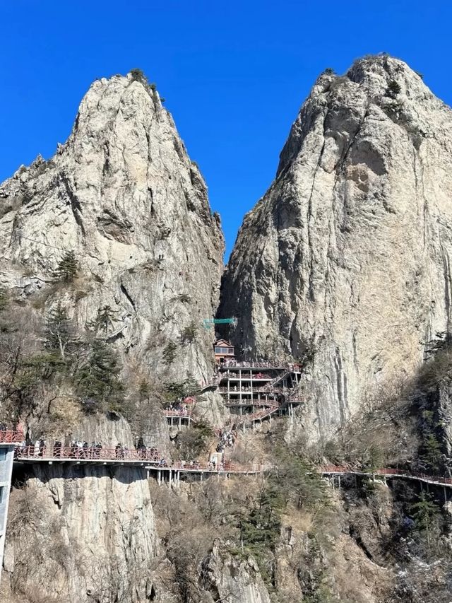 遠赴人間驚鴻宴，一睹人間盛世顏