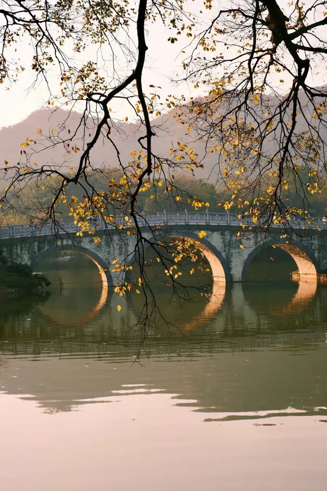 A must-visit park in Liuzhou, Guangxi! The old men here are really good at taking pictures