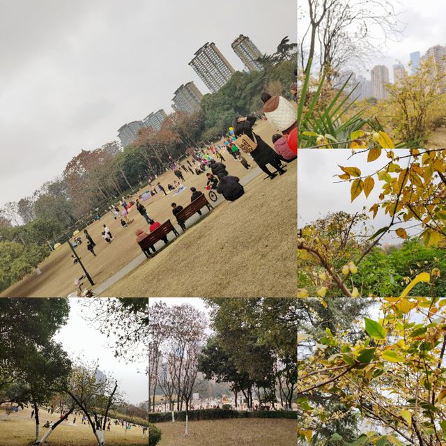 成都發現溜娃賞蠟梅寶藏公園～塔子山公園