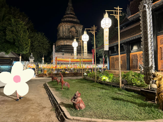 夜遊清邁古城-金葉樹與白象-遊客少燈火燦的羅摩利寺