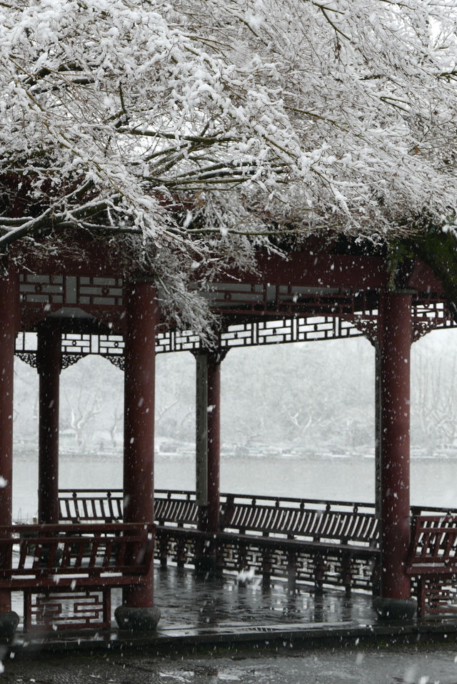 屬於西湖的浪漫童話，杭州下大雪啦