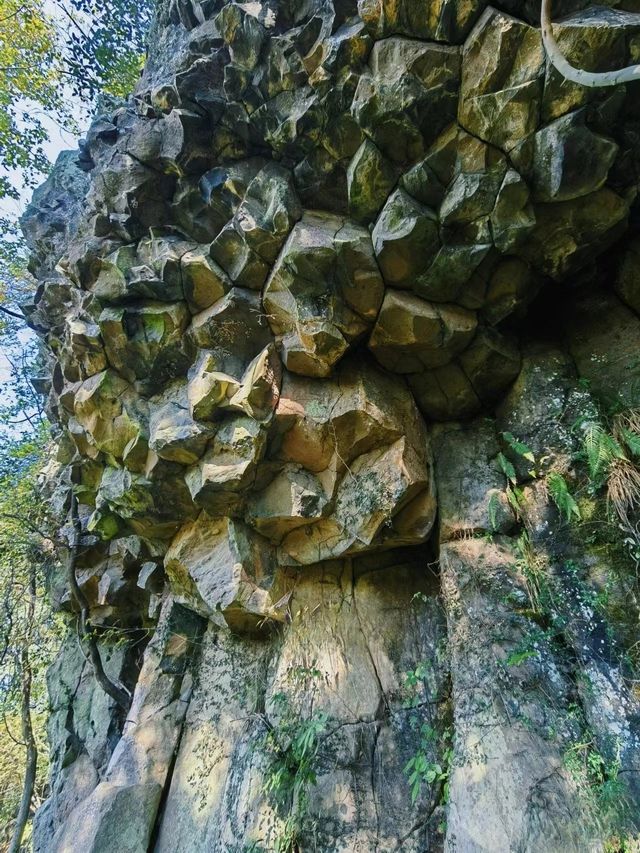 沒想到寧波居然有4處古火山遺跡奇觀