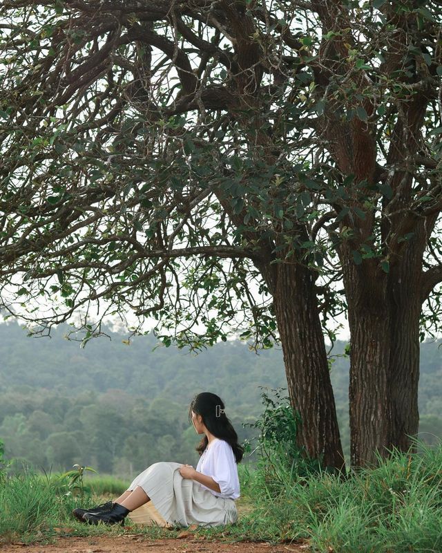 Nature is my happy place 🌳✨🫶🏻🌈