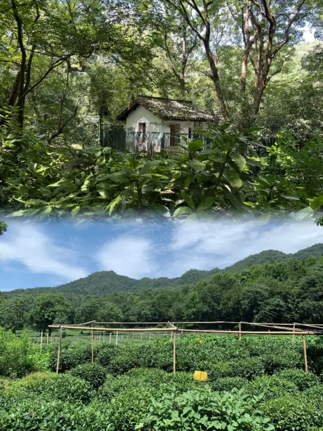 A spiritual retreat, a must-visit in Hangzhou for a Zen-inspired journey