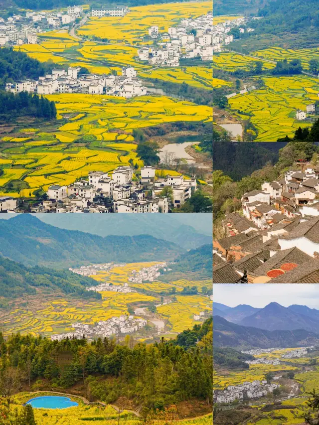 Spring Outing Memoir | Refuse to Queue! The Complete Guide to Wuyuan's Rapeseed Flower Season