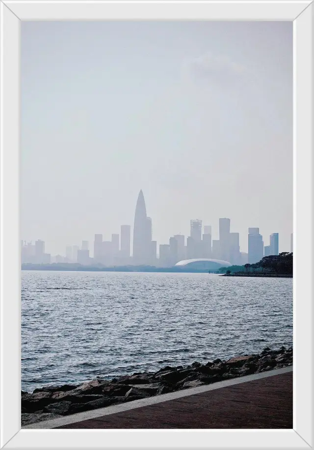 Shenzhen Bay offers a free coastline throughout the seasons for your enjoyment