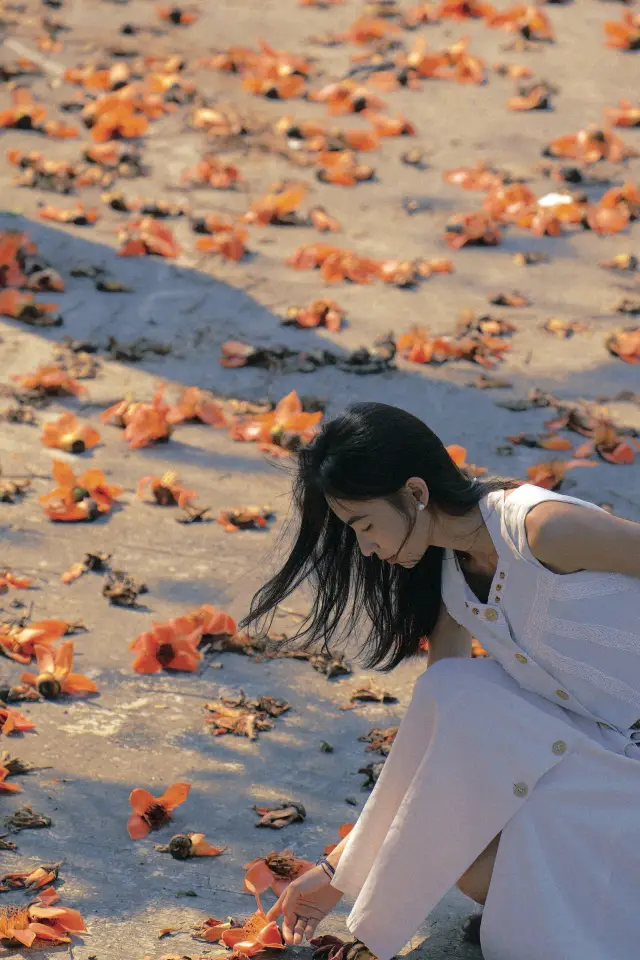 昌江下了一場木棉花雨，來到了沒有人的「海」