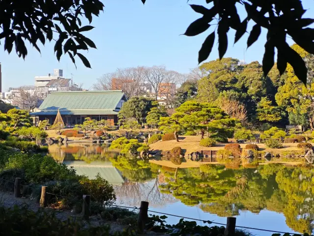 東京で清澄庭園を見て、静かな時が流れる様子を楽しむことができます