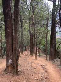 |||打卡銀湖山郊野徑，市區地鐵直達徒步好去處