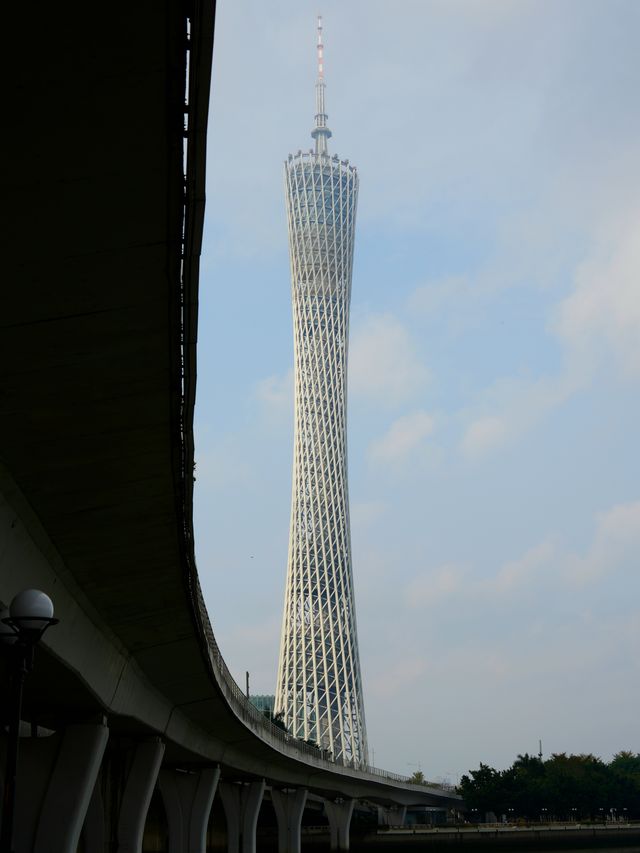 磨碟沙公園 | 廣州塔＆有軌電車＆最佳賞花拍攝地