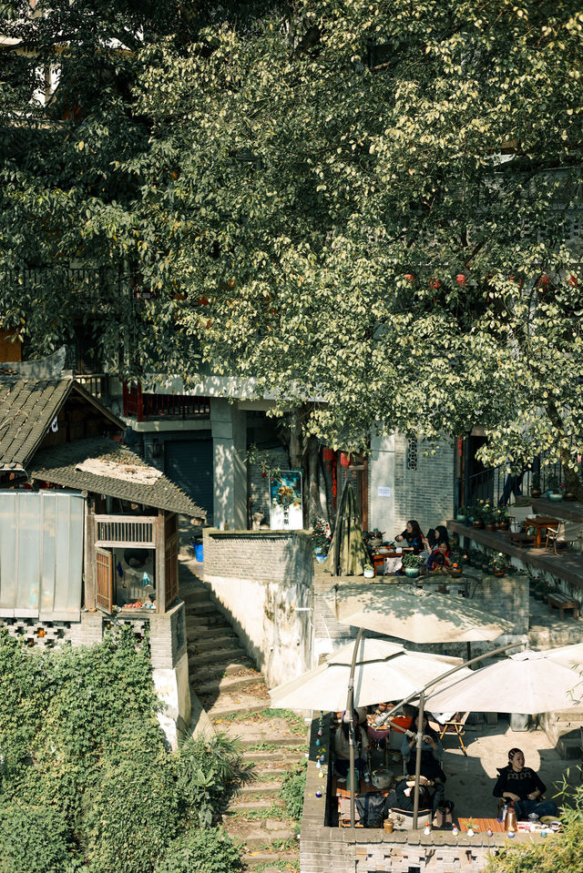 春日徒步，重慶南山經典步道黃葛古道