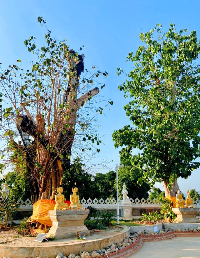 沒有網紅的地方就是好玩，小眾景點西雙版納般若【bōrě】寺