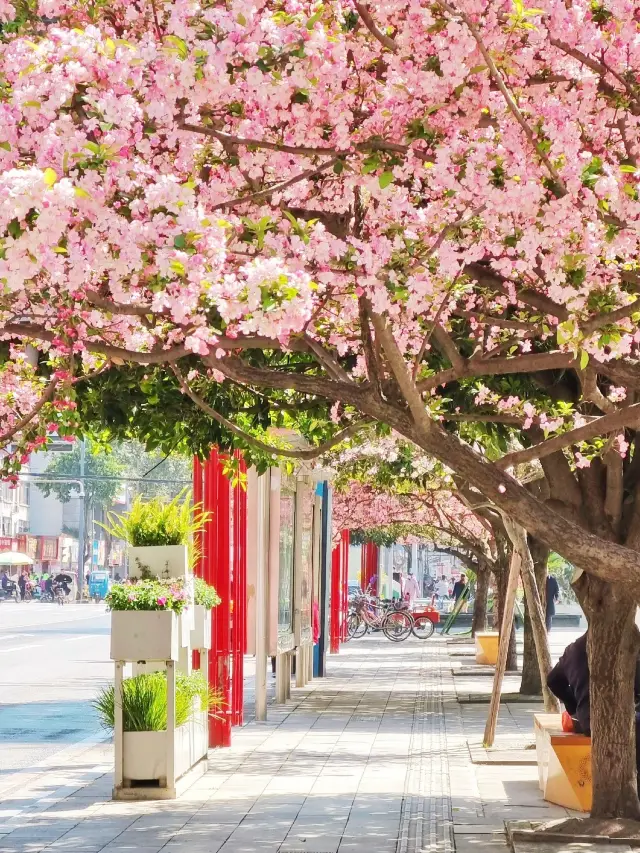 Chengdu's stunningly beautiful parks, capturing the exquisite beauty of 'Little Jiangnan', make every visitor's heart soar with delight