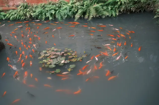 散步·文化熏陶·國風攝影絕佳去處·三蘇祠